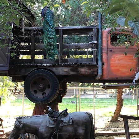 Wine Country Private Working Sheep Farm; Rustic Elegance Βίλα Τεμέκουλα
 Εξωτερικό φωτογραφία