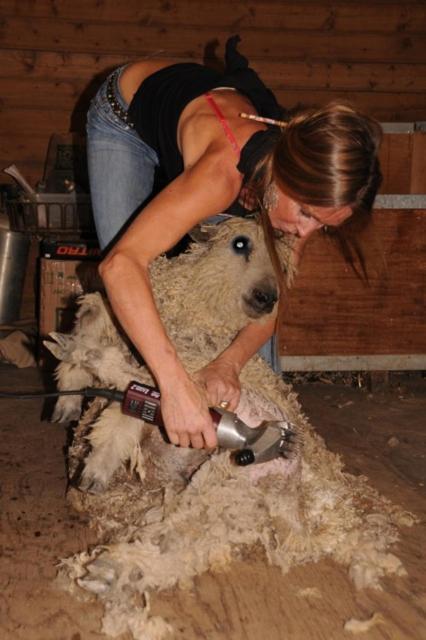 Wine Country Private Working Sheep Farm; Rustic Elegance Βίλα Τεμέκουλα
 Εξωτερικό φωτογραφία