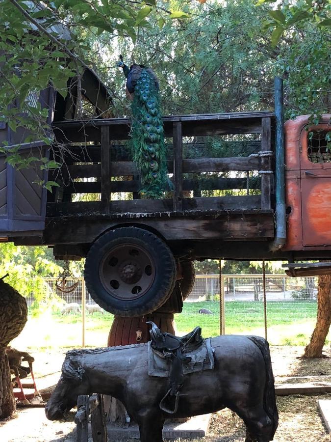 Wine Country Private Working Sheep Farm; Rustic Elegance Βίλα Τεμέκουλα
 Εξωτερικό φωτογραφία
